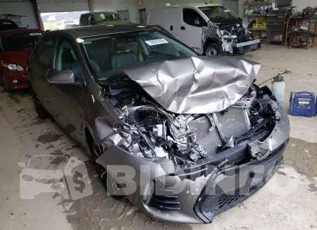 2T1BURHE5HC816219
