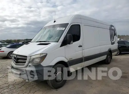WD3PE8CC2E5834988