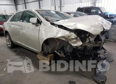 2G61M5S38F9113516