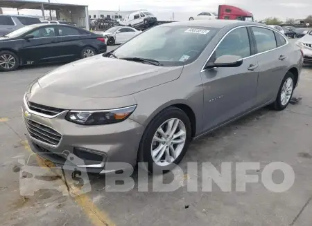 1G1ZD5ST8JF184286