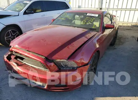 1ZVBP8AMXE5201951