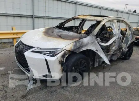N0V1NLEXUS