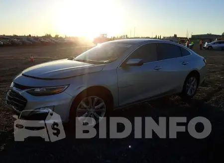 1G1ZD5ST8KF225937