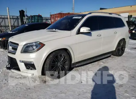 4JGDF2EE3EA386135