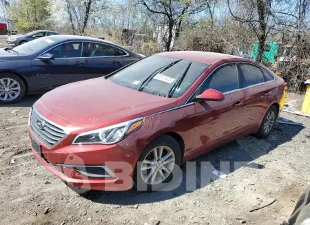 5NPE24AF8GH271492