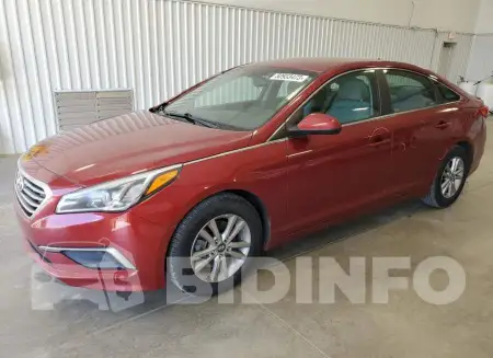 5NPE24AF3GH372679