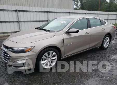 1G1ZD5ST9PF177646