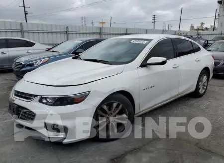 1G1ZD5ST4JF163970