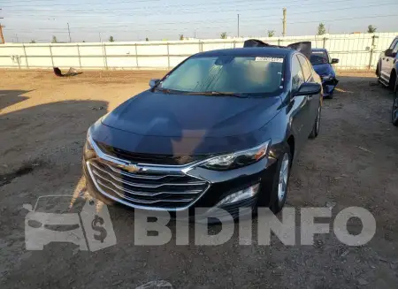 1G1ZD5ST5PF204664