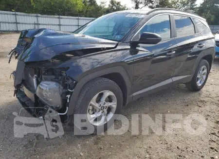 5NMJBCAEXPH173447