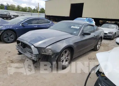 1ZVBP8AM9E5326519