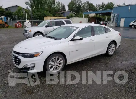 1G1ZD5ST6KF179606