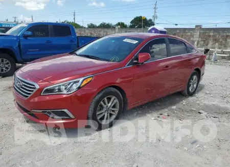 5NPE24AF8HH456482