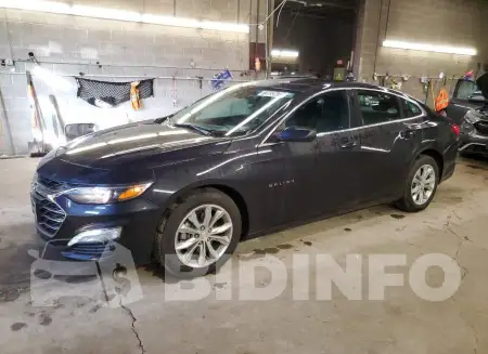 1G1ZD5ST5PF239804