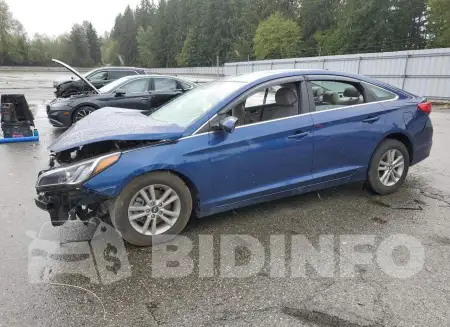 5NPE24AF5HH586901