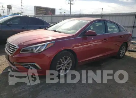5NPE24AF5FH240358