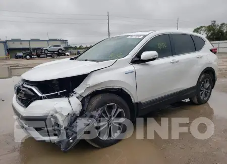 5J6RT6H89NL046521