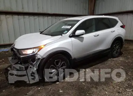 7FARW1H50LE019184