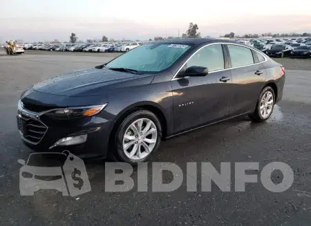 1G1ZD5ST8PF178433