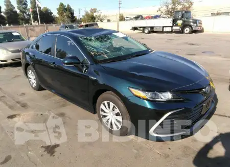 4T1C31AK7MU021092