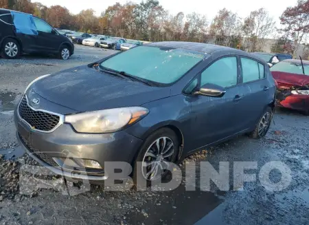 KNAFK5A82G5548677