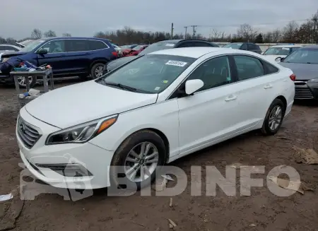 5NPE24AF2FH130383