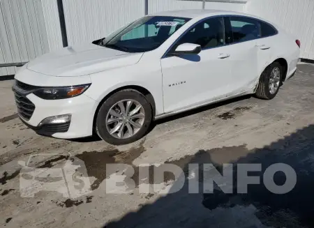 1G1ZD5ST8RF117246