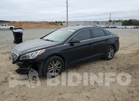 5NPE24AA8HH528589