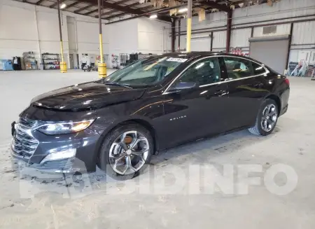 1G1ZD5ST3PF162205