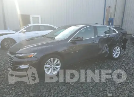 1G1ZD5ST1PF195154