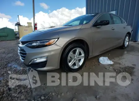 1G1ZD5ST4PF177800