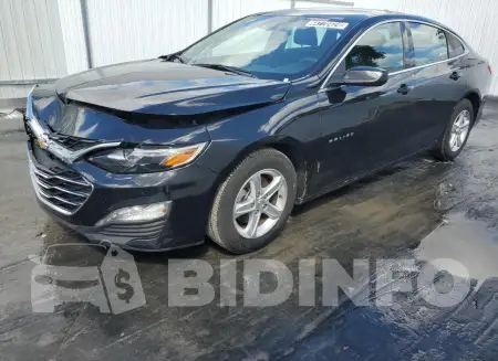 1G1ZD5ST6PF177538