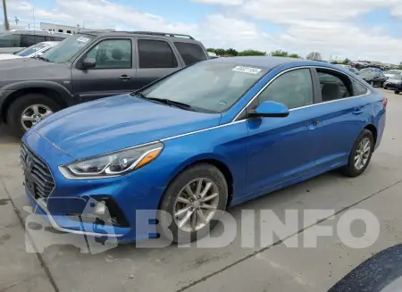 5NPE24AF8KH768504