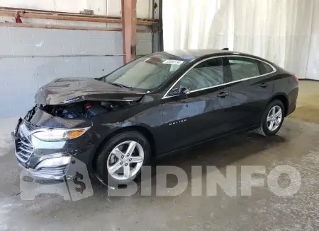 1G1ZD5ST5RF204151