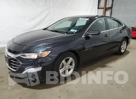 1G1ZD5ST8PF181154