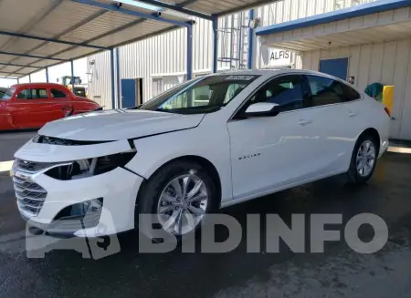 1G1ZD5ST6PF178477