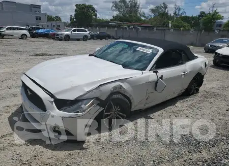 1FATP8UH8H5220336