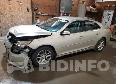 1G11C5SL8FF170413