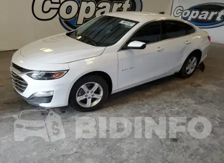 1G1ZB5ST7RF200687