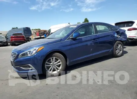 5NPE24AF5GH363692