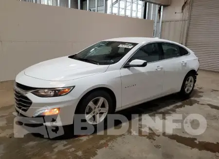 1G1ZD5ST6PF229055