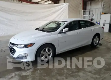 1G1ZD5ST8PF202598
