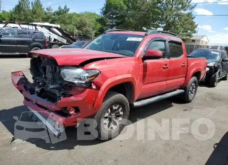 3TMCZ5AN6JM156830