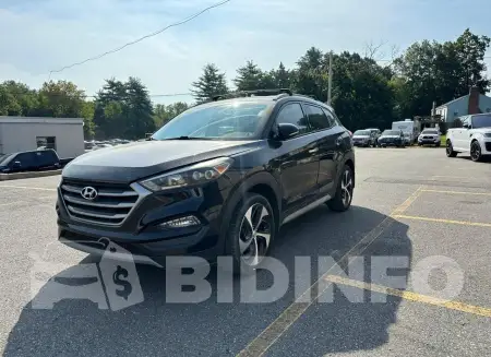 KM8J3CA23HU423913