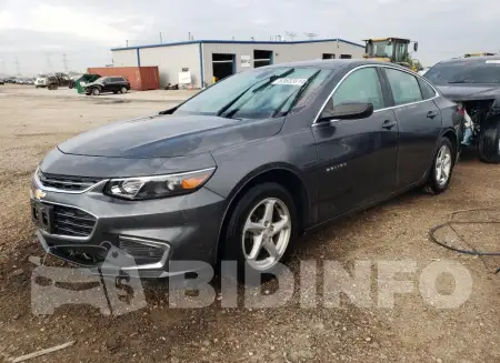 1G1ZB5ST6JF213905