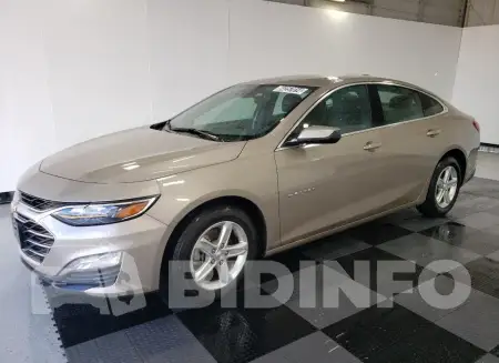 1G1ZD5ST4PF195973