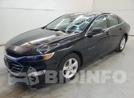 1G1ZD5ST5PF189082