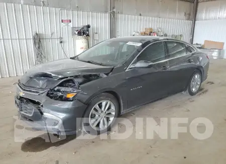 1G1ZF5SU2JF134681
