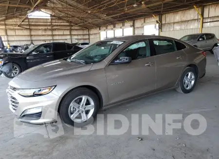 1G1ZD5ST4RF219840