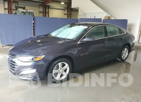 1G1ZD5ST6PF189561